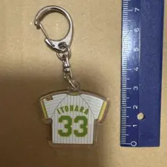 阪神タイガース　ユニパッチン　糸原健斗