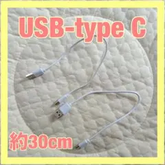 USB-type Cケーブル 約30cm 2本セット