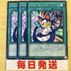 遊戯王 コピーキャット 3枚セット　トゥーン　ピヴォ