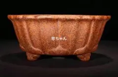 Item thumbnail for item 04379015-569e-48b8-beae-d37dc07ad44e