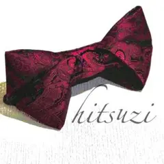 Item thumbnail for item 15cad13c-02b6-4d99-8927-8c933b9cc6e8