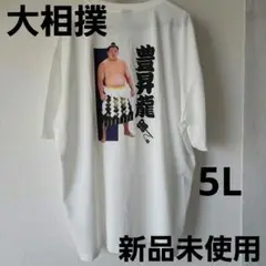 大相撲　横綱　豊昇龍　応援Tシャツ　5L　新品未使用タグ付き　立浪部屋