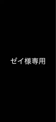 専用出品