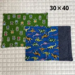 処分 ハンドメイド ランチョンマット 2枚