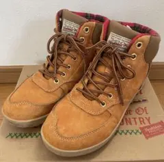 Item thumbnail for item caf35be2-c7db-4b66-8293-ea823883e8e6