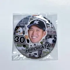 Item thumbnail for item 74fe7cce-0af3-4c42-9a44-fd7bae66e9f2