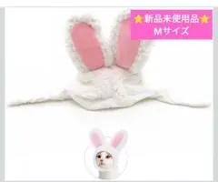 Item thumbnail for item e2238445-a98d-4054-92c6-a4b6d1454ffd