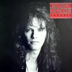 【日本盤】アンディー・テイラー　　サンダー