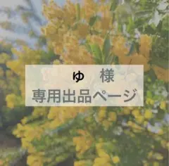 ゆ様　専用出品