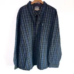 Carhartt カーハート メンズ 4XL 長袖シャツ チェック 青 ブルー