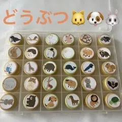 動物　生き物　イラスト　絵合わせ　ペットボトルキャップ マッチング
