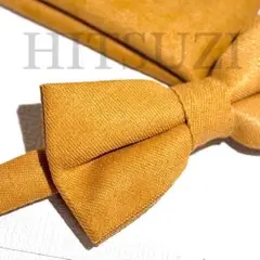 Item thumbnail for item 6f13d599-012d-4af8-8ac6-ed07eb4ee04e
