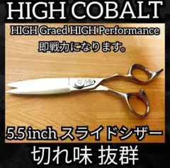 Item thumbnail for item 5a949ac5-f51e-47ba-a443-af473367a6da