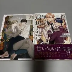 BL小説　2冊セット