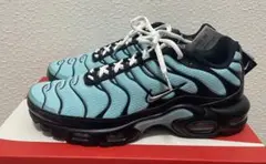 Item thumbnail for item 168ebd73-7564-4a40-9db1-8e318b10fc27