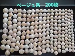 ナミマガシワ　ベージュ系　200枚