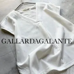 GALLARDAGALANTE プルオーバーブラウス 前後切替 透かし編み