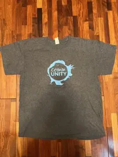 【値下げ】 USA GILDAN グレー Tシャツ Lサイズ