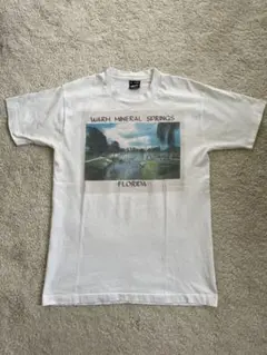 80's fruits of the room オールドTシャツ
