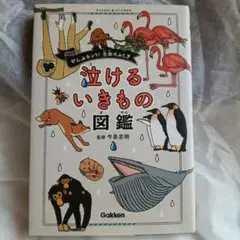 泣けるいきもの図鑑
