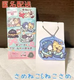 ファミマ限定 かわいいキメラ オリジナルアクキー さめねこ&ねこさめ②