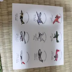 Item thumbnail for item af694951-7683-4fda-b6a0-83e3058a18c9