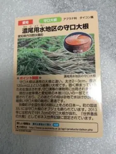 【新品未使用】水の恵みカード 濃尾用水地区の守口大根 Ver.2.0