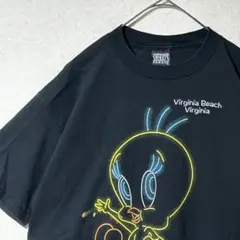USA製 90s トゥイーティー Tシャツ tweety ビンテージ 古着