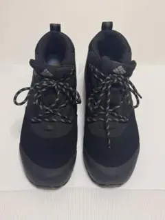 Item thumbnail for item cafe244c-db35-4c82-b39b-7f386a7a0851