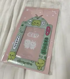 チェゴシム フォトキーホルダー トレカケース グリーン