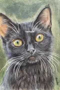 2025年最新】色鉛筆画 黒猫の人気アイテム - メルカリ