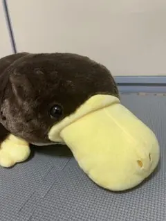 カモノハシ　ぬいぐるみBIG
