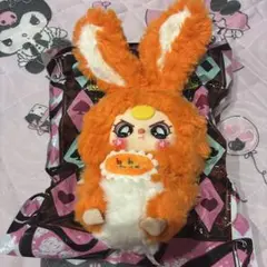 babythree　特別目キラ目　うさぎ