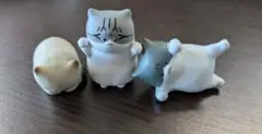 怒った猫ちゃあぁぁん 2 あなざーからー