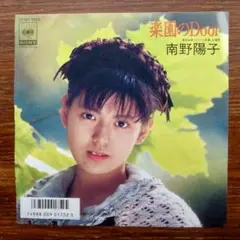 スケバン刑事！　　楽園のDoor / 南野陽子　　EPレコード