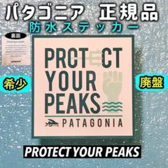 【正規品・廃盤品・希少】パタゴニアステッカー PYP ⑩