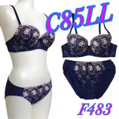新品❤️C85LL ブラu0026ショーツ チュールレース モールドカップ F483