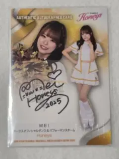 Item thumbnail for item a54db523-f8f8-4214-9d45-4ad5d5138296