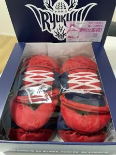 Item thumbnail for item b154d0a2-ff5b-4c85-ba4e-6f9d7bf5f2c0