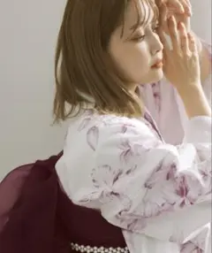 DITA 水仙の凛沈み 5点セット