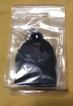 東方神起 （TVXQ）  AIRPOD POUCH