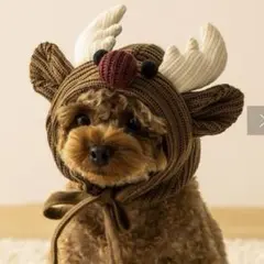 Item thumbnail for item 4afad691-aff8-4bec-8917-c9e379eb8935