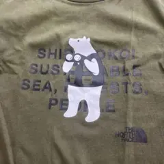 North Face　150 Tシャツ