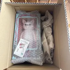 Item thumbnail for item 625827b7-0dcb-4669-96be-bd90bc3addfd