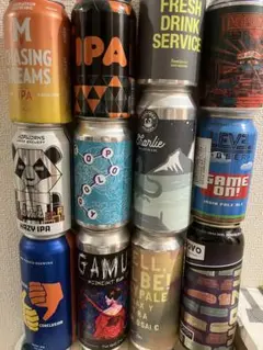 クラフトビール　空き缶　12本セット　海外
