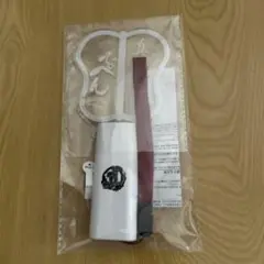 真田ナオキ　ペンライト
