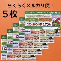 レオマワールド 優待券複数枚 割引券 温泉 イルミネーション☆ ランチバイキング