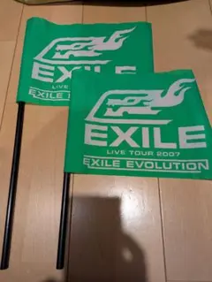 2025年最新】2007 フラッグ exileの人気アイテム - メルカリ
