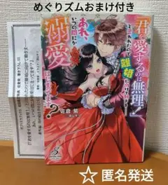 ☆　「君を愛するのは無理!」と言われたので離婚に向けて動きま……　TL小説