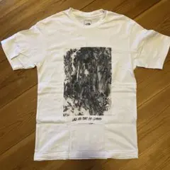 Mサイズ ノースフェイス Tシャツ　ショートスリーブ ウォールズティー
